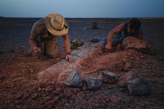 National Geographic Story: Sahara Dinosaurs