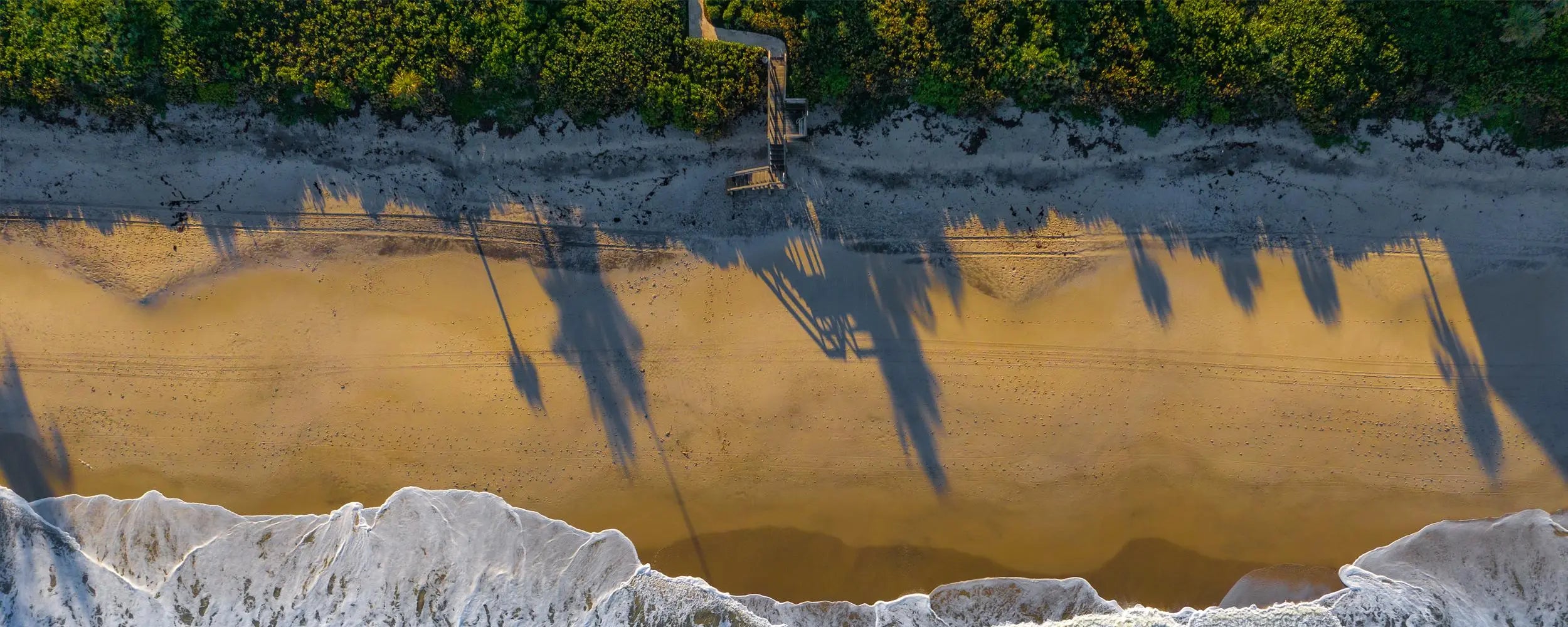 VERTICAL - Tommy Joyce