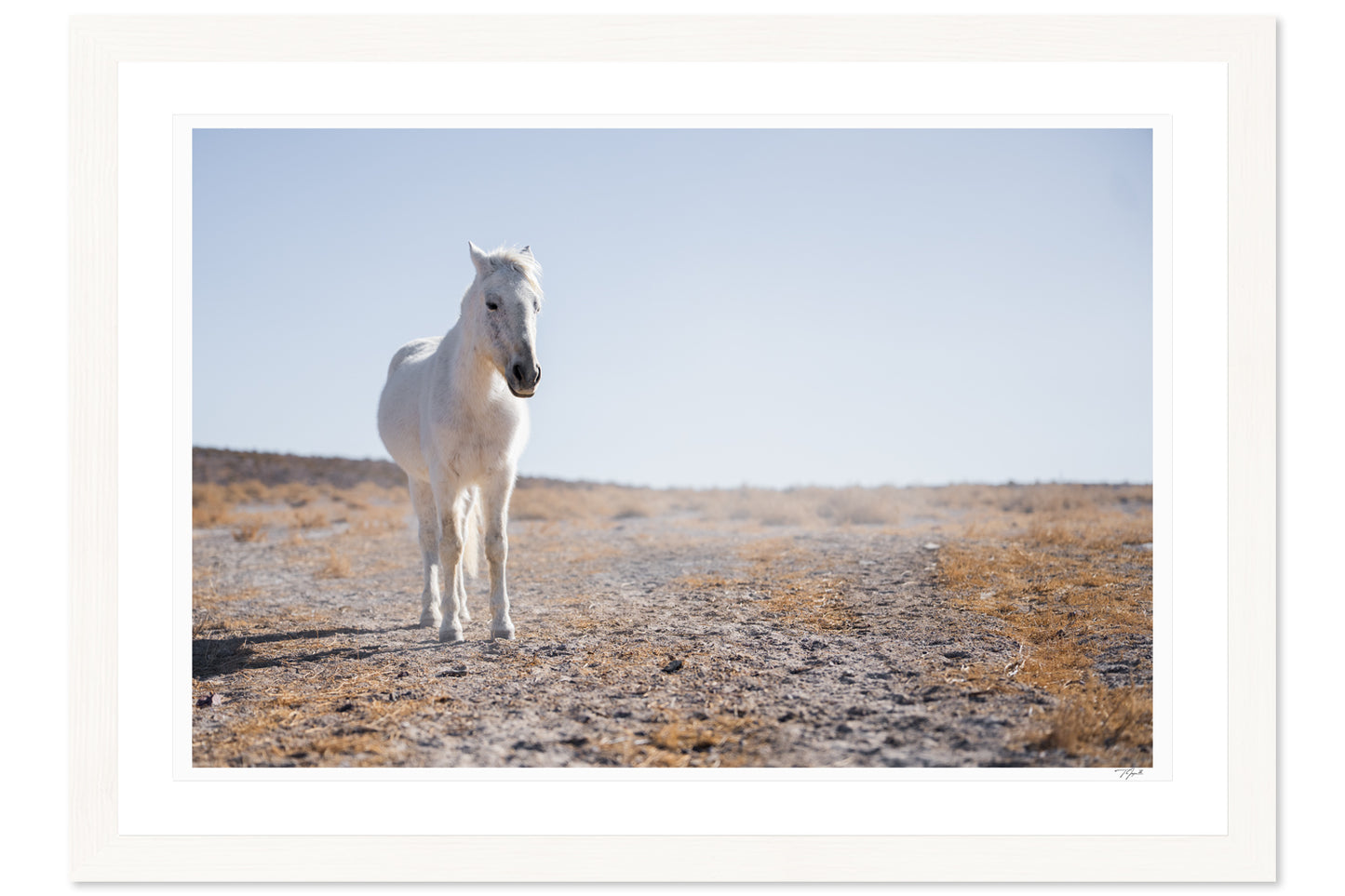 White Horse