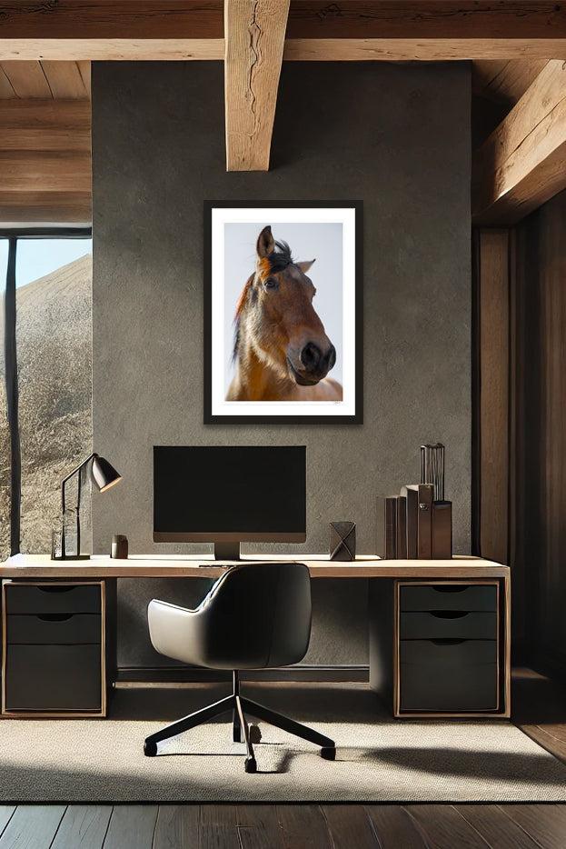 Wild Mustang