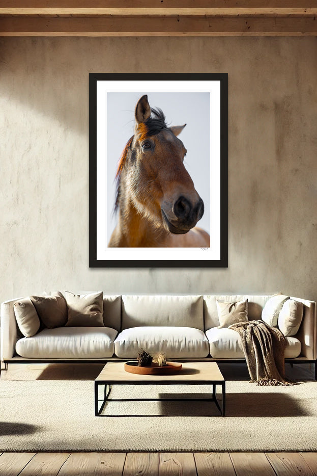 Wild Mustang