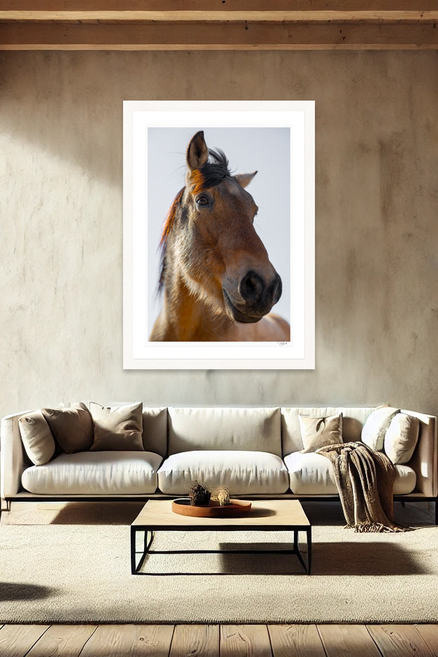 Wild Mustang