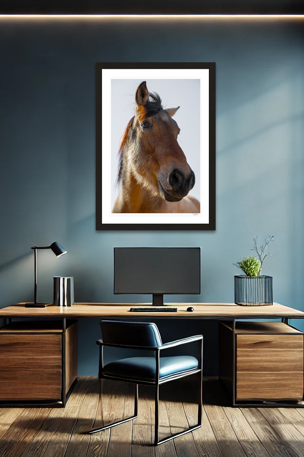 Wild Mustang