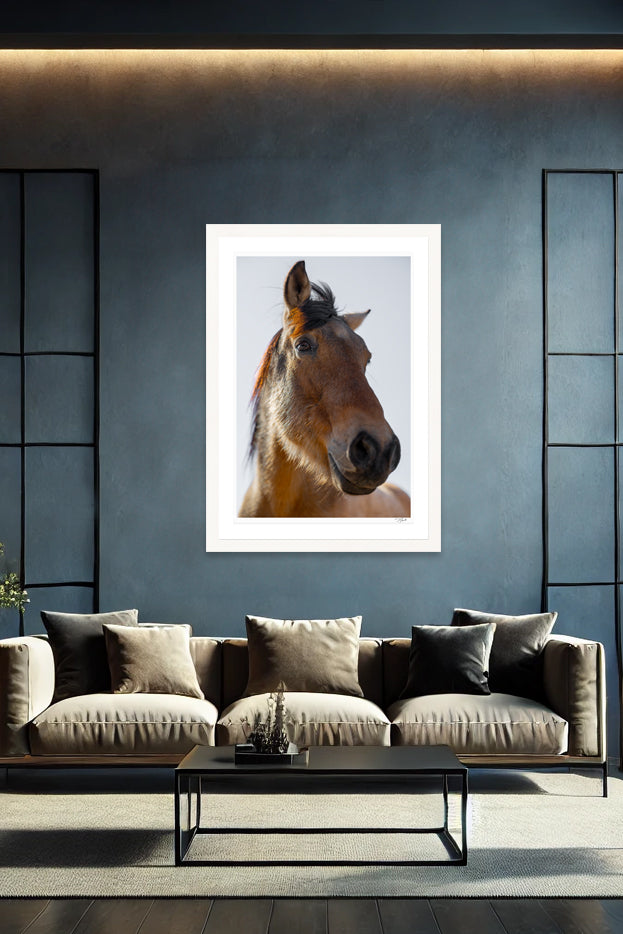 Wild Mustang