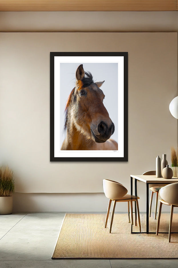 Wild Mustang