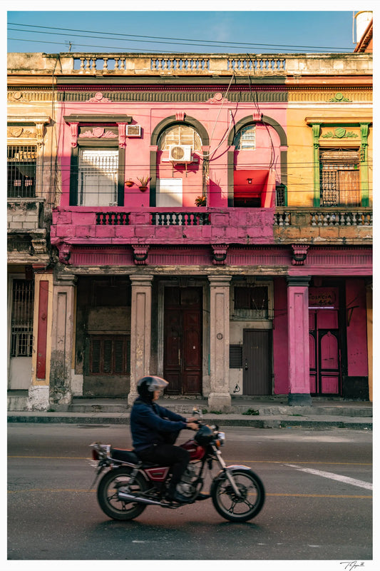 Vintage Havana - Tommy Joyce