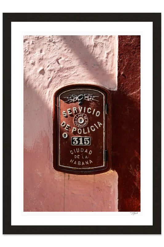 Servicio de Policía - Tommy Joyce