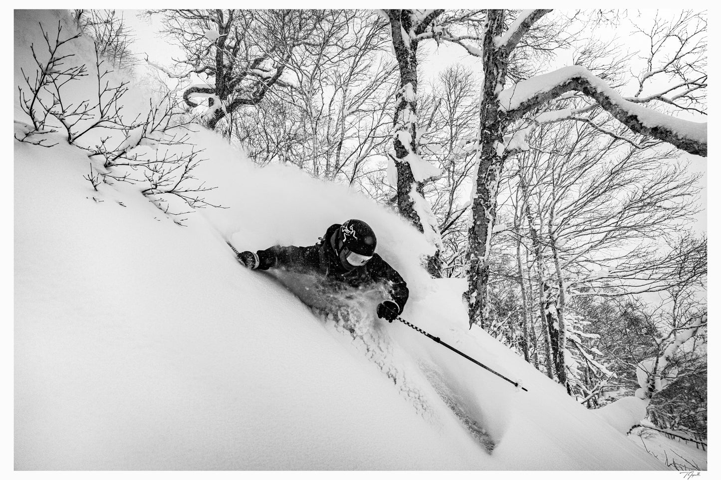 Hokkaido Snow