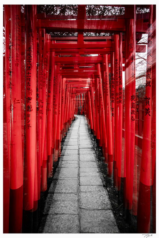 Torii Gates