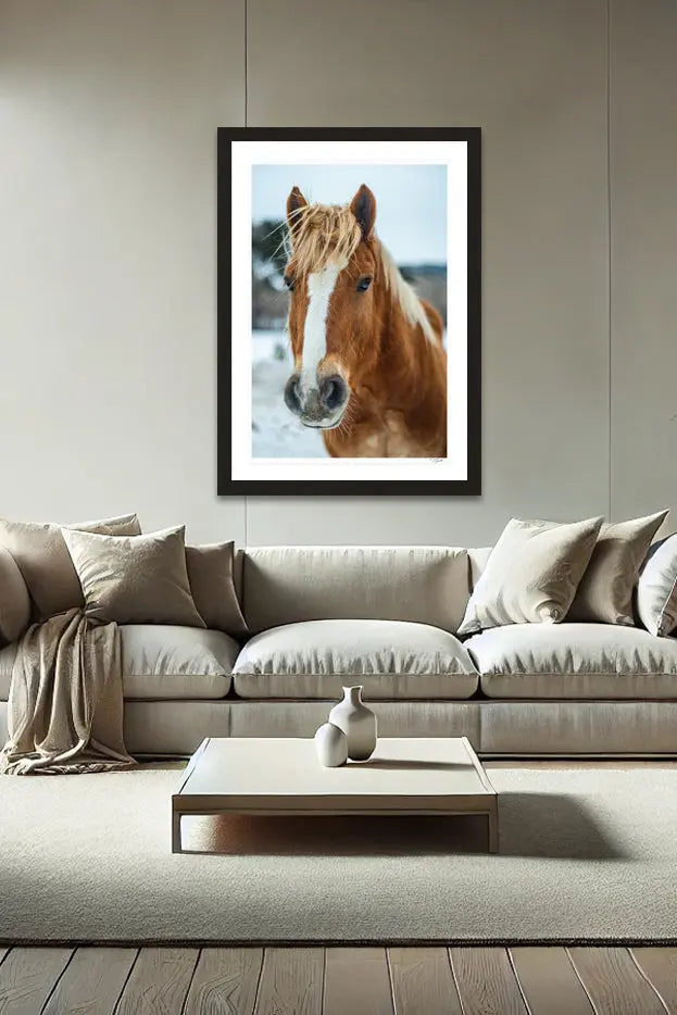 Horse Hair - Tommy Joyce