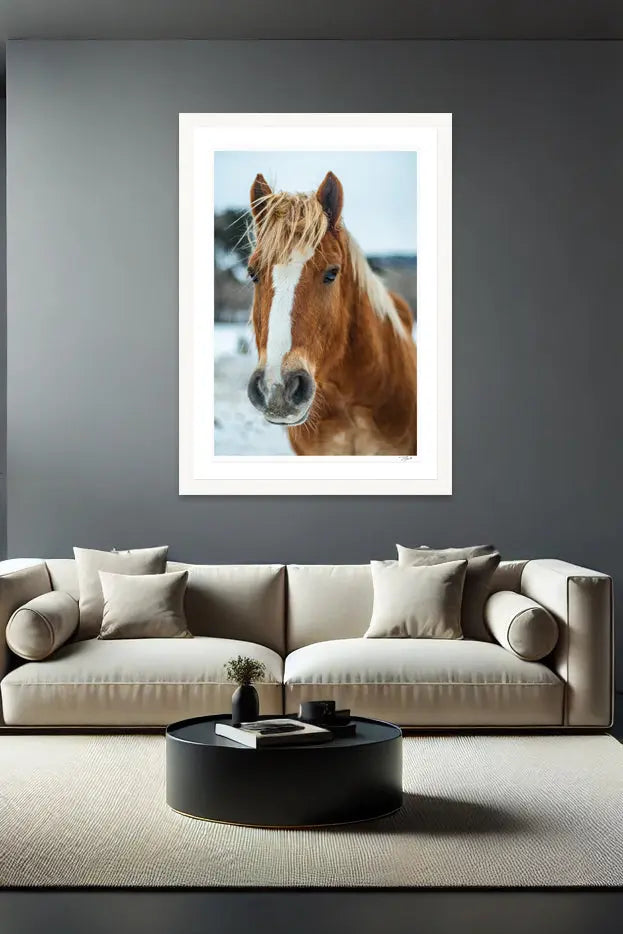 Horse Hair - Tommy Joyce