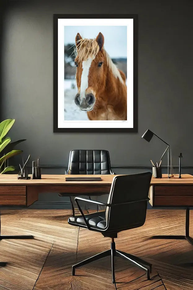 Horse Hair - Tommy Joyce