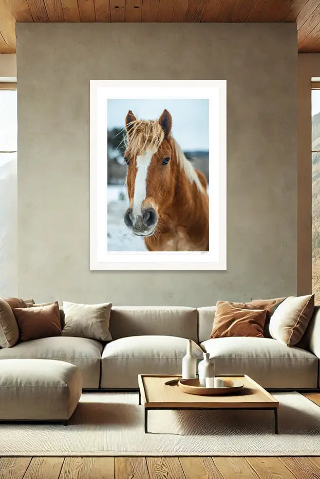 Horse Hair - Tommy Joyce