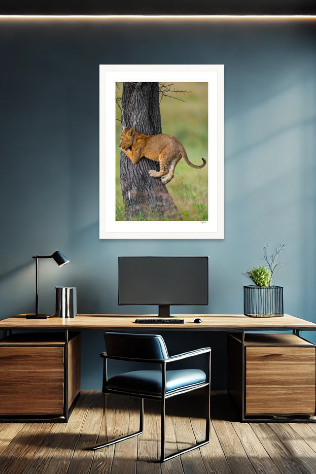 Cub Climbing