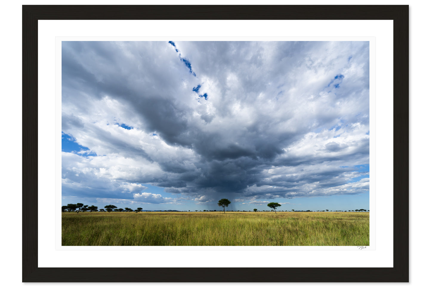 Serengeti Storm