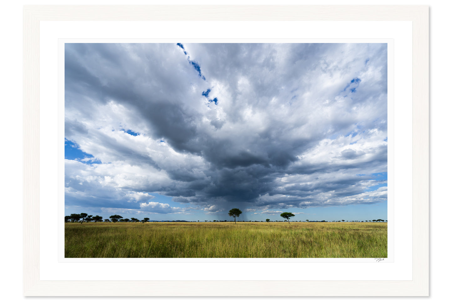 Serengeti Storm