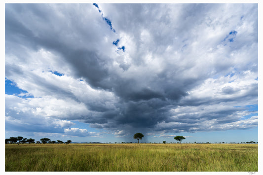 Serengeti Storm