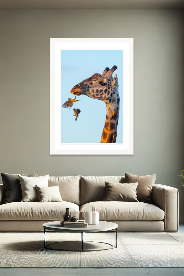Oxpecker Inbound