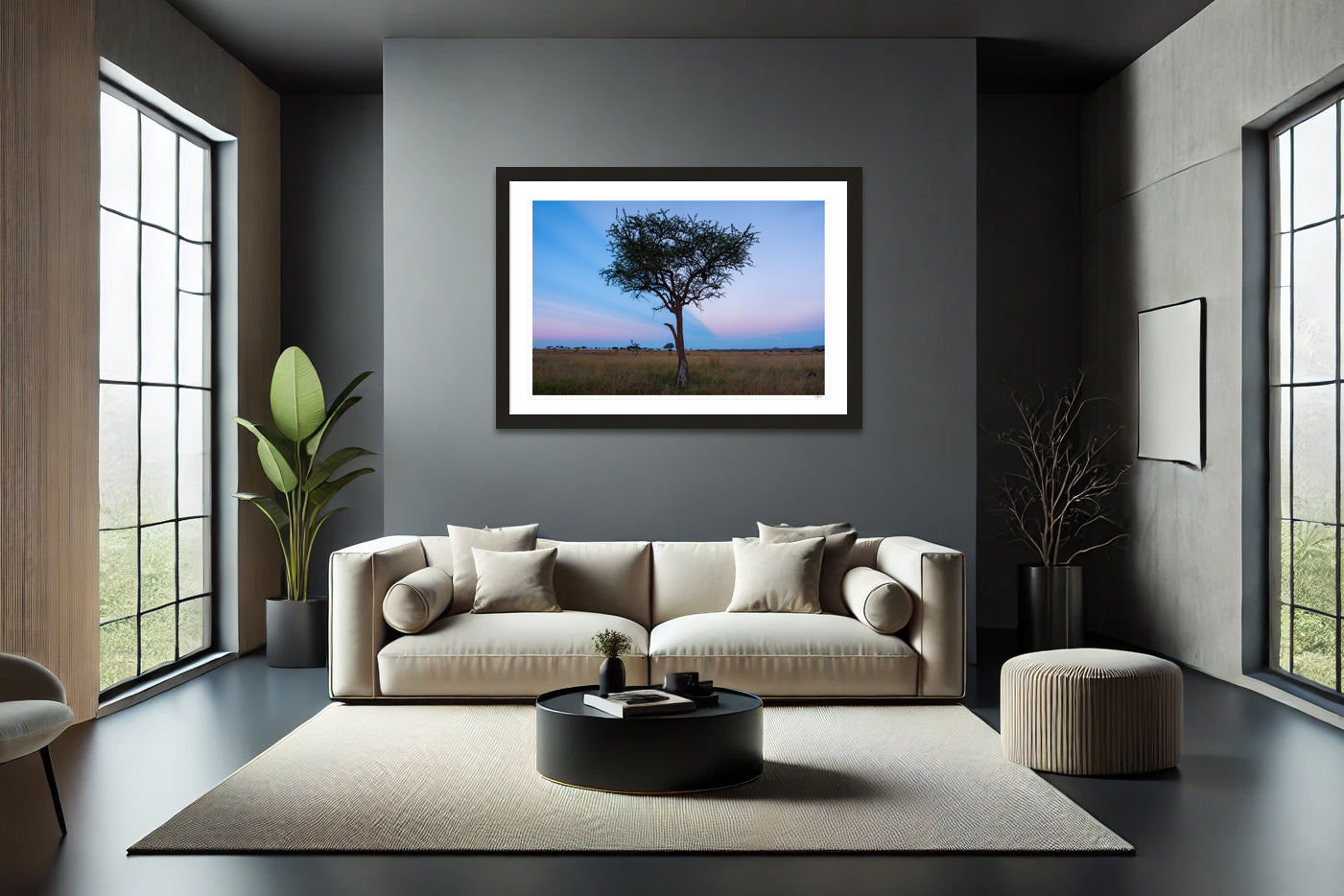 Serengeti Acacia