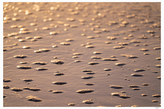 Champagne Beach My Store