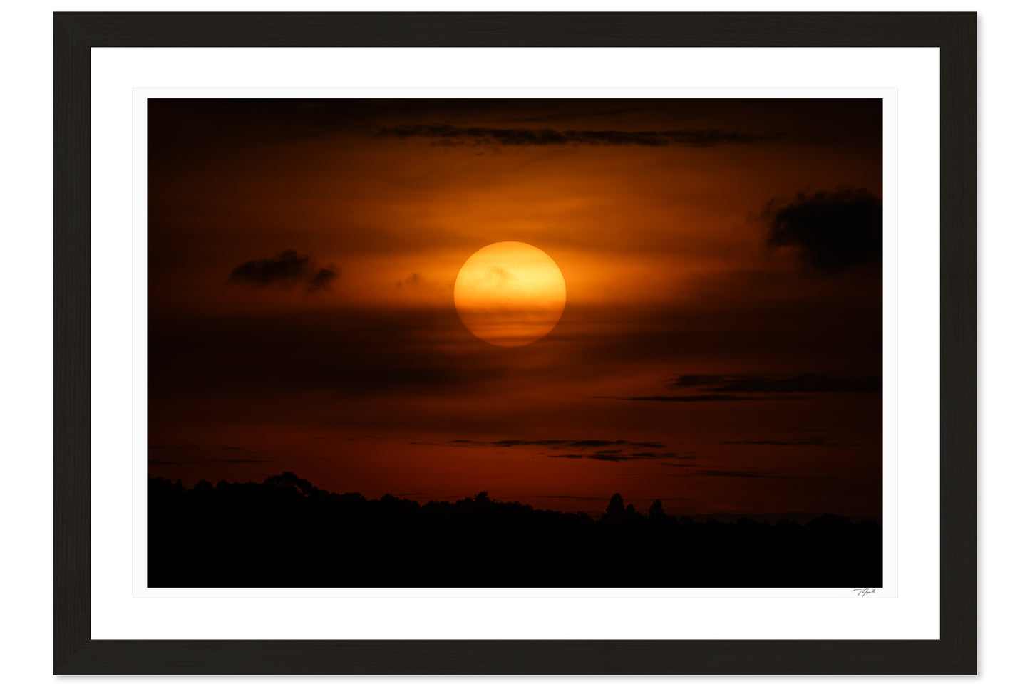 Ember Sky