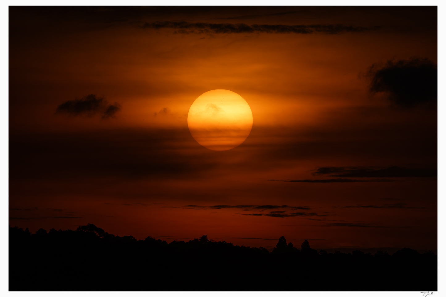 Ember Sky