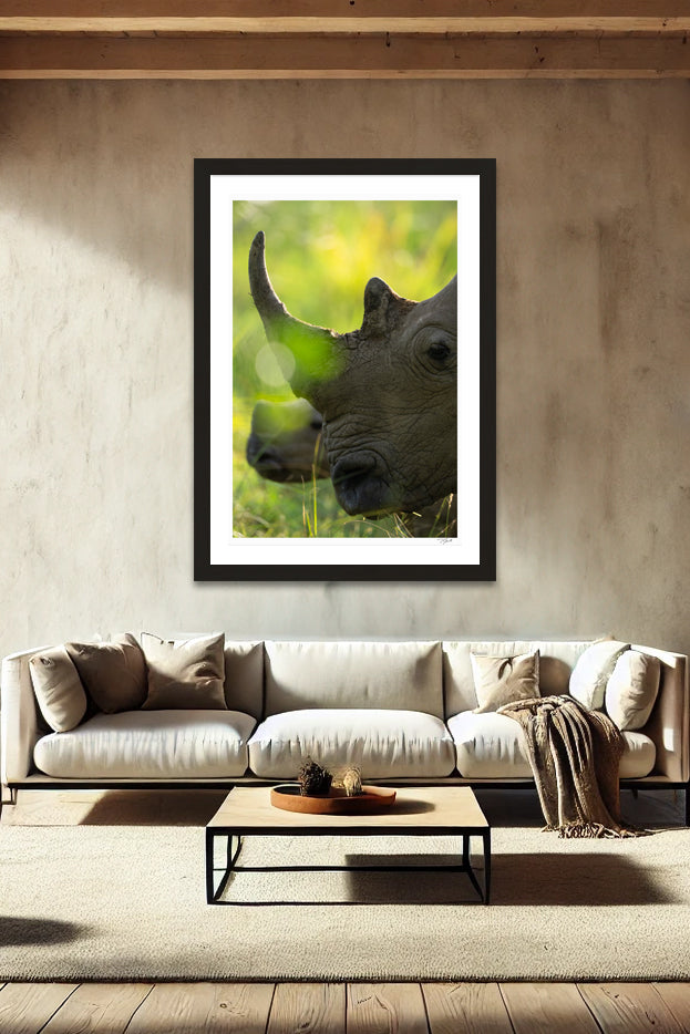 Rhino Horn