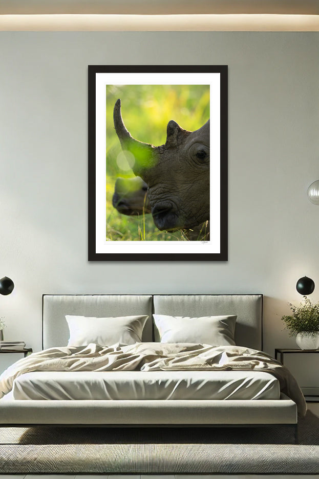 Rhino Horn