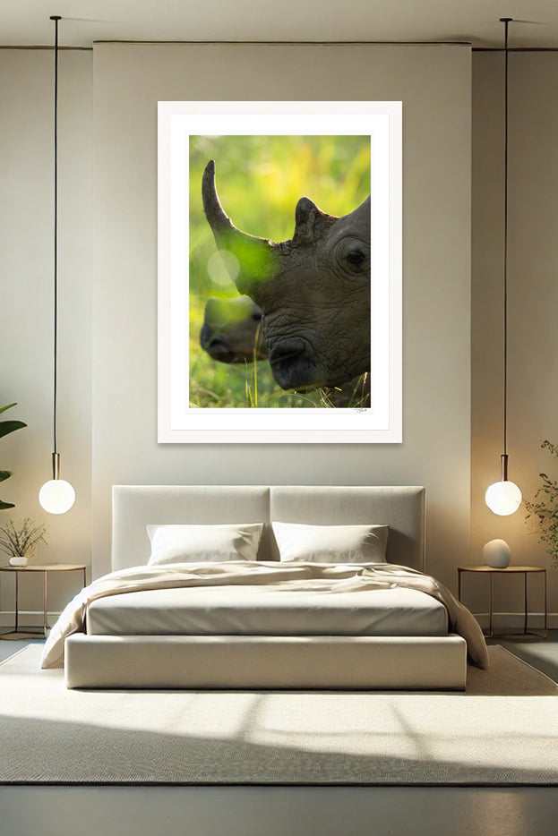Rhino Horn