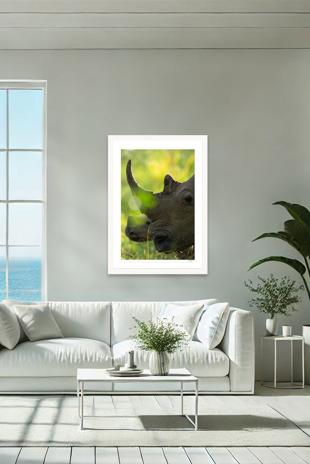 Rhino Horn