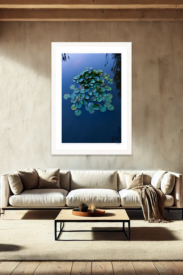 Lily Pads