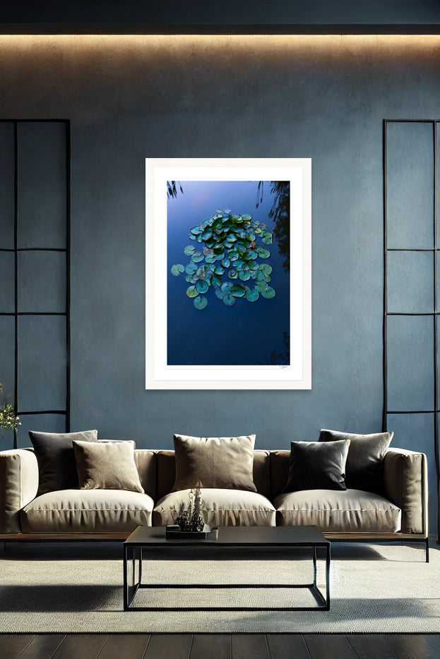 Lily Pads