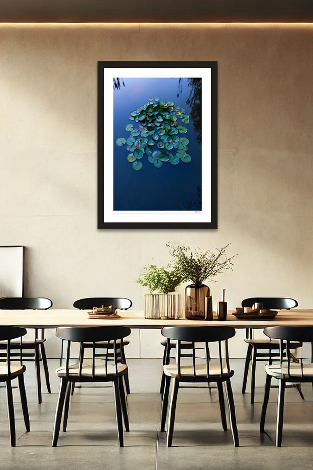 Lily Pads