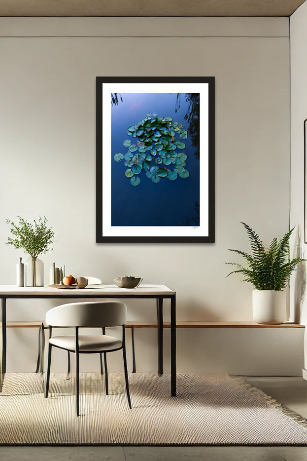 Lily Pads