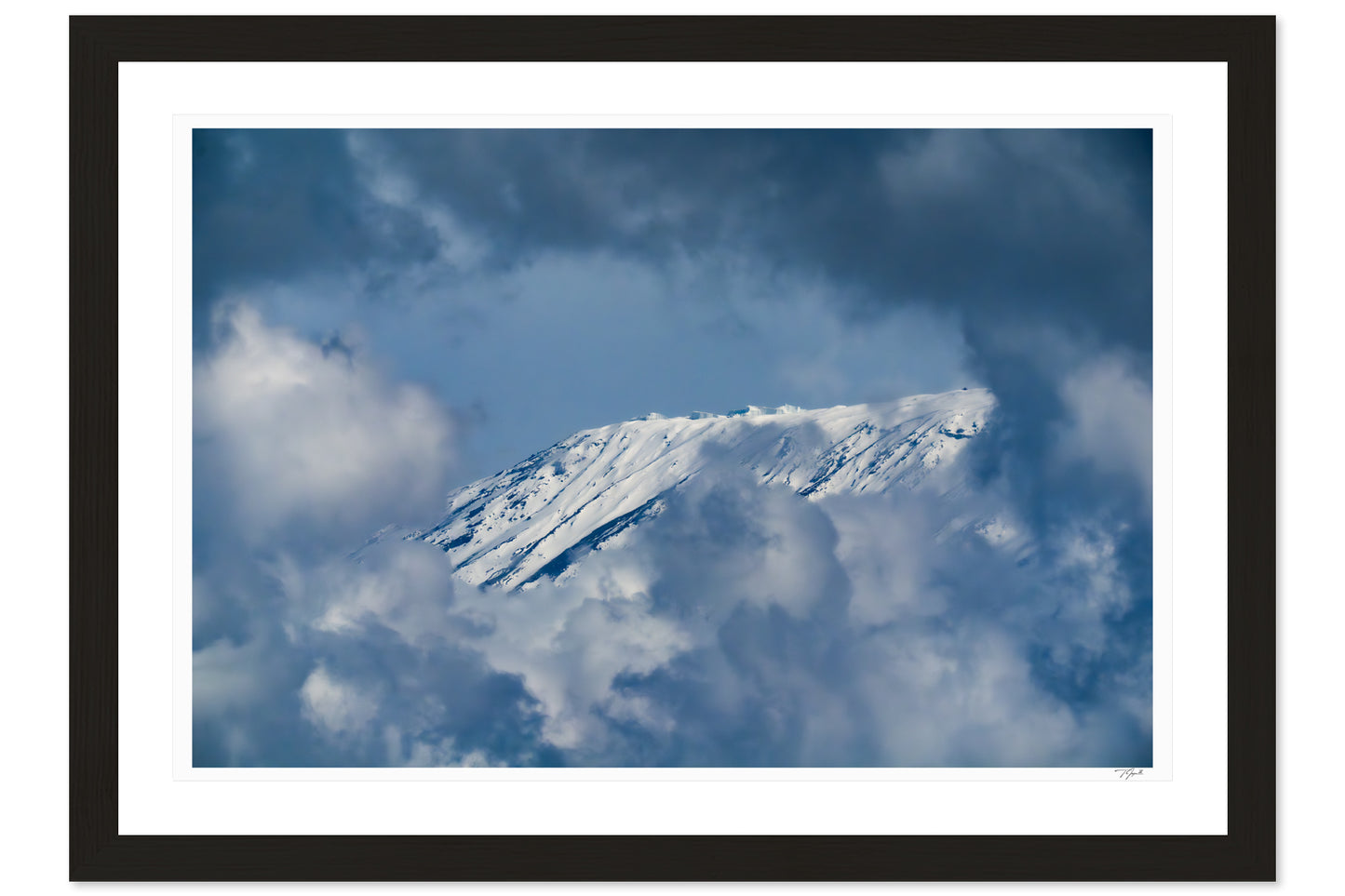 Shy Mountain