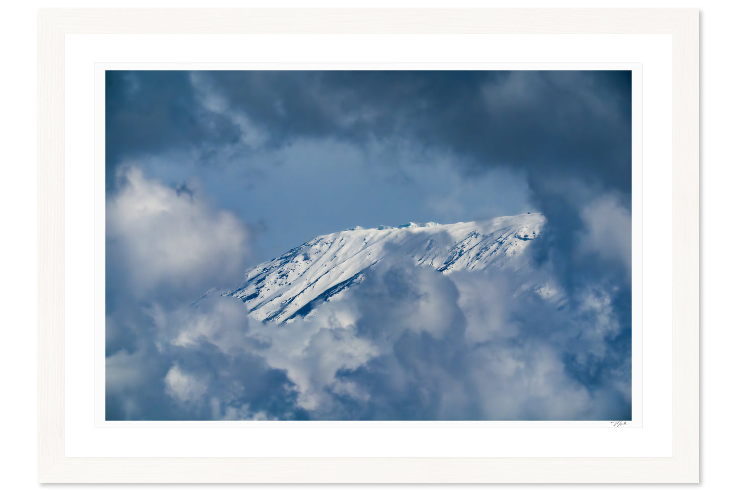 Shy Mountain