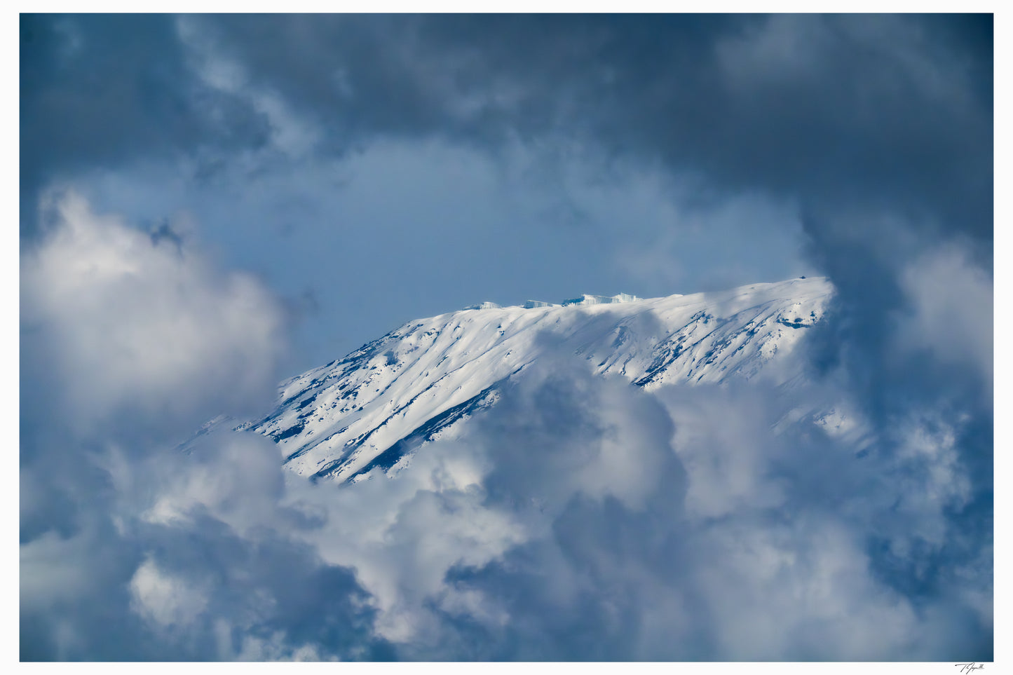 Shy Mountain
