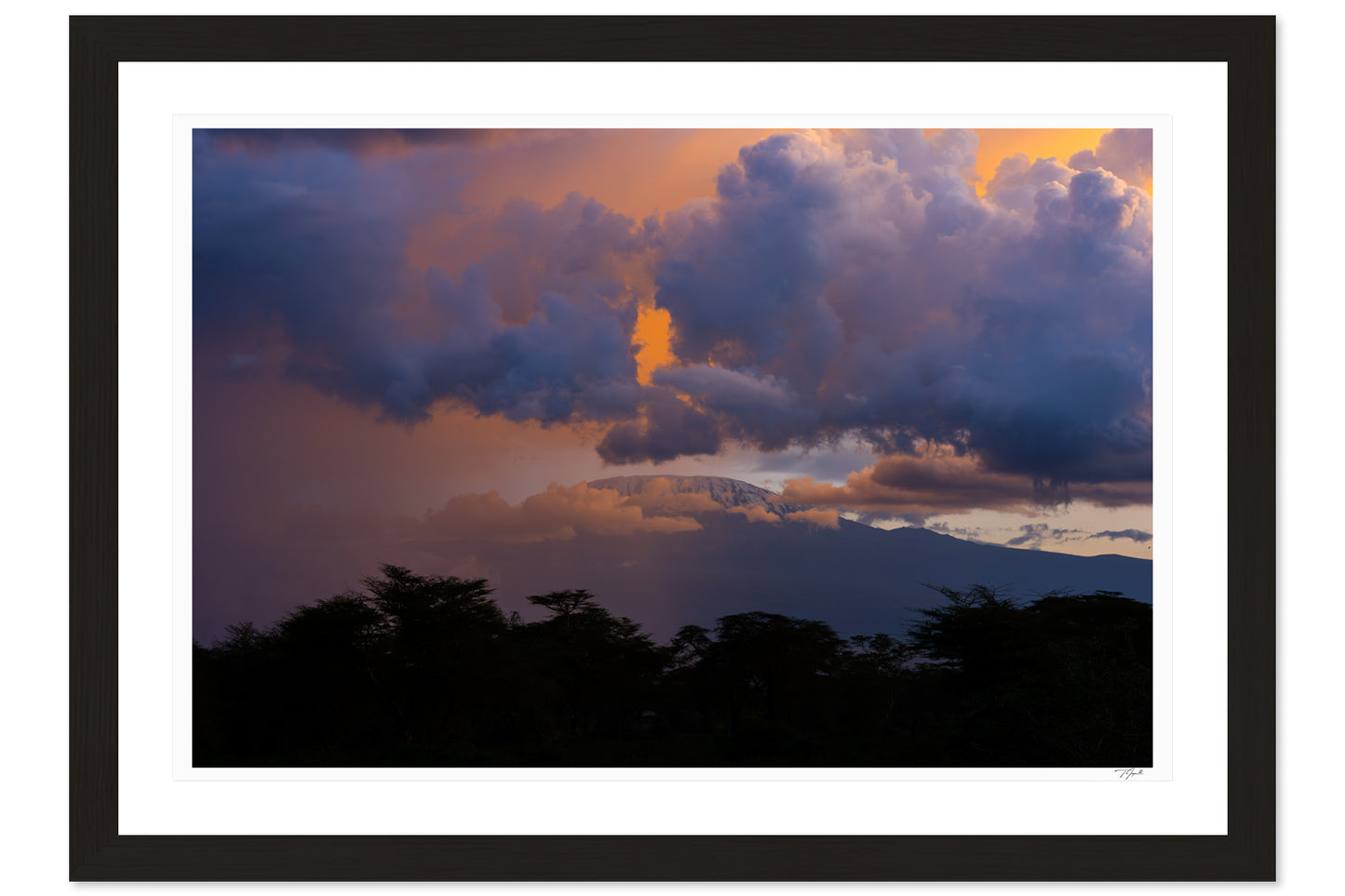Kilimanjaro Colors