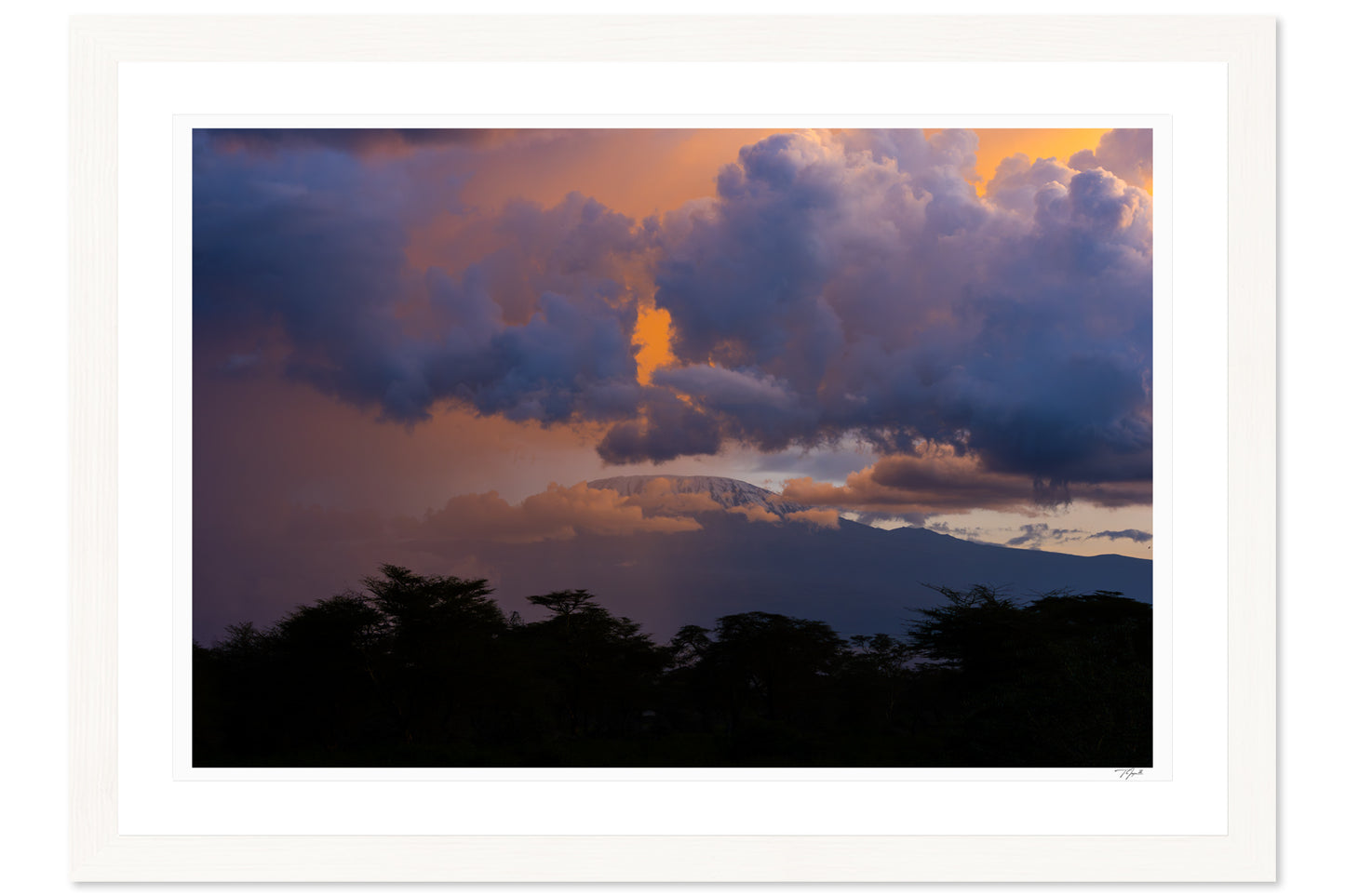 Kilimanjaro Colors