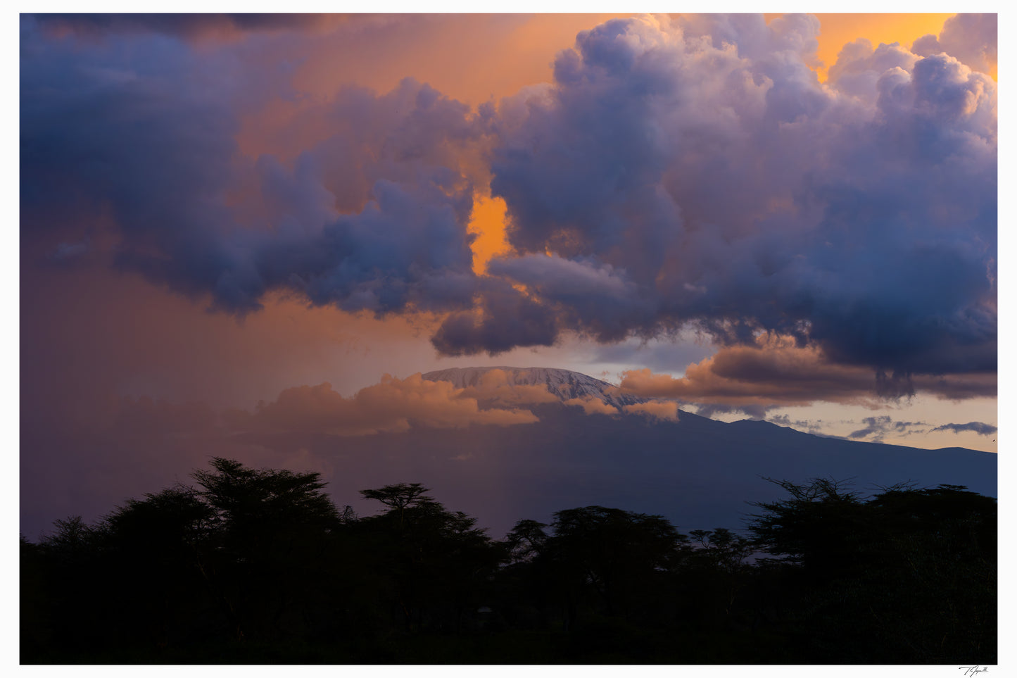 Kilimanjaro Colors