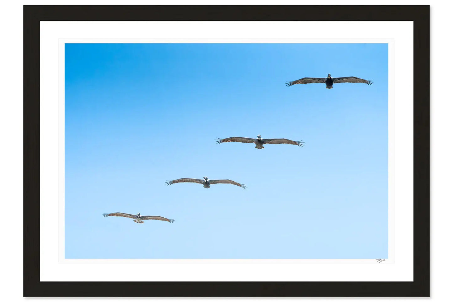 Four in Flight - Tommy Joyce