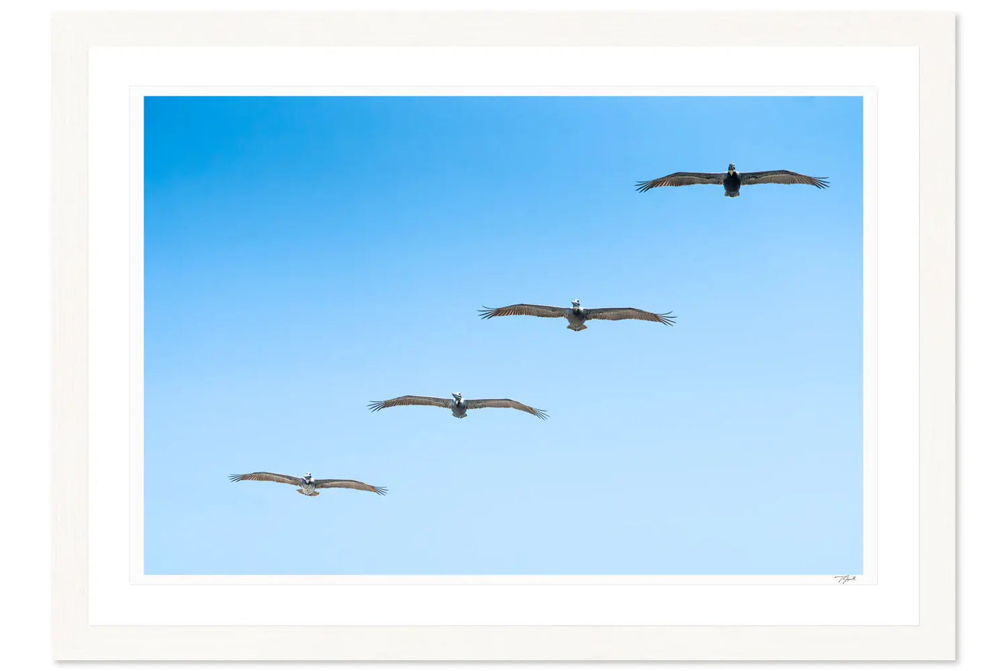 Four in Flight - Tommy Joyce