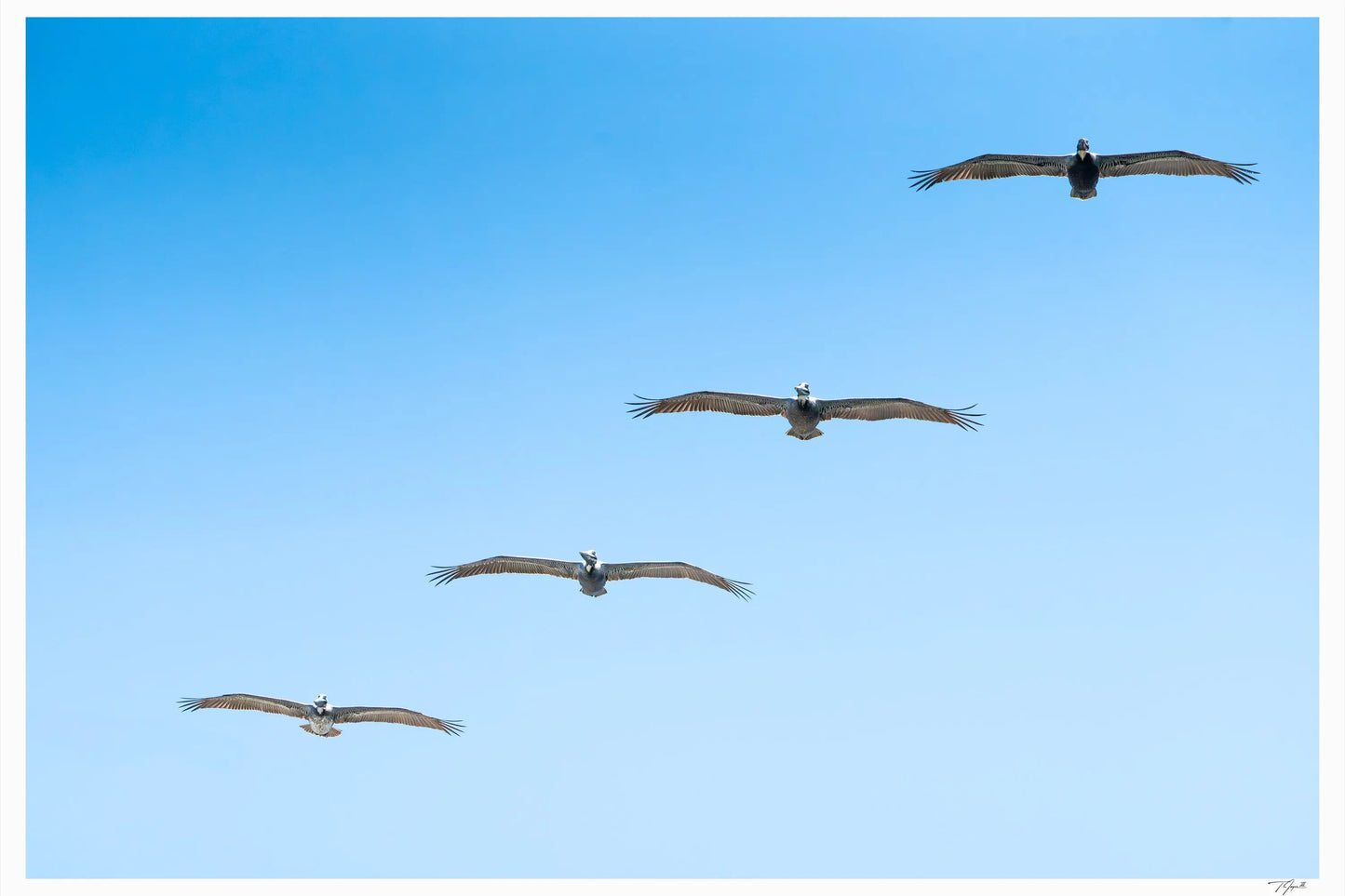 Four in Flight - Tommy Joyce