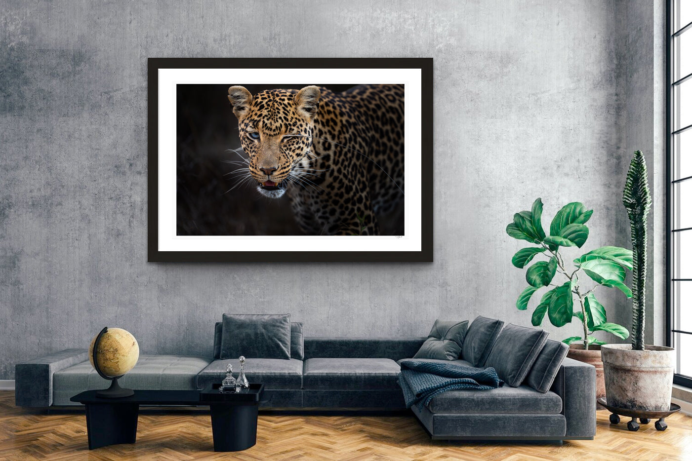 Leopard Wink