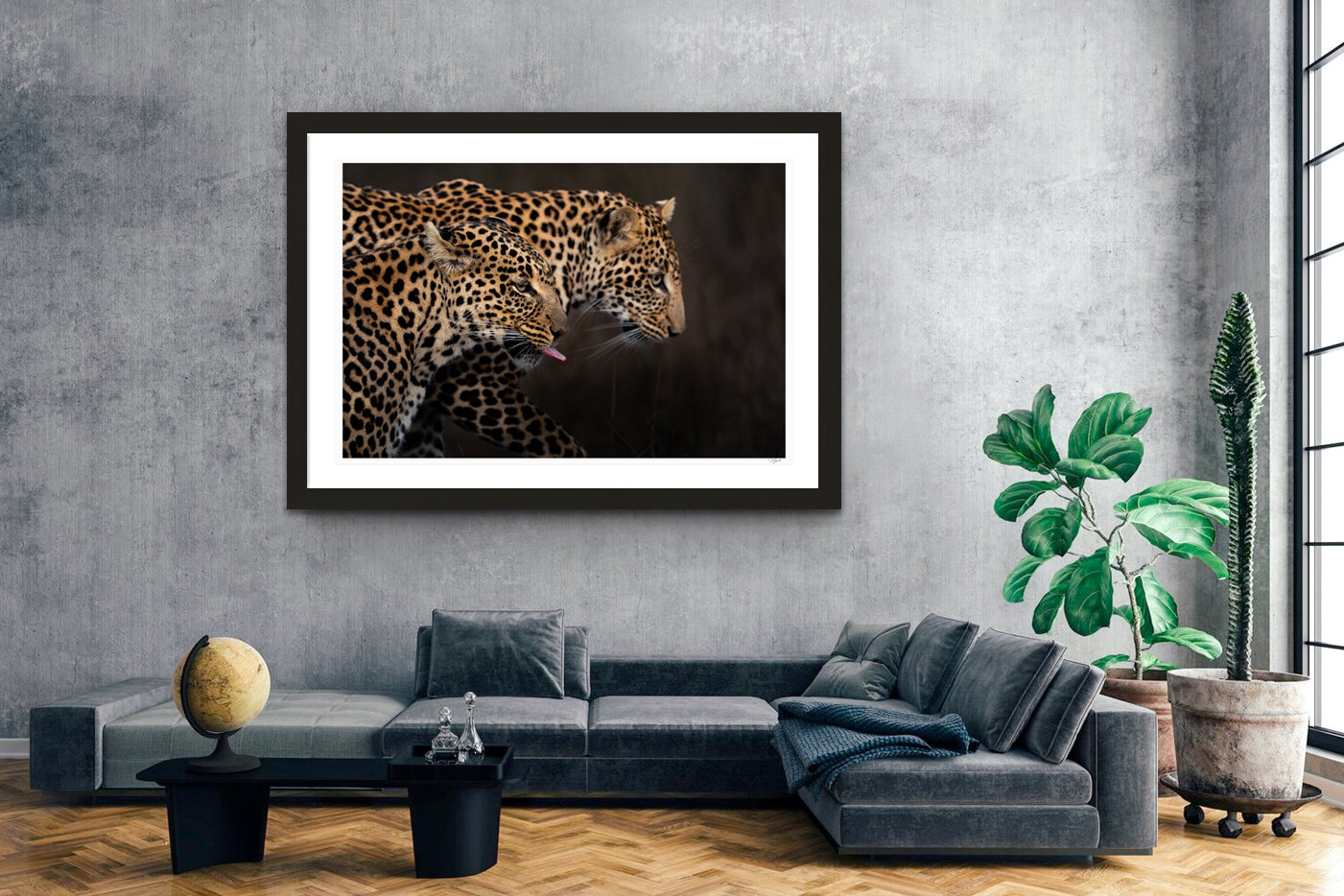 Leopard Shadow