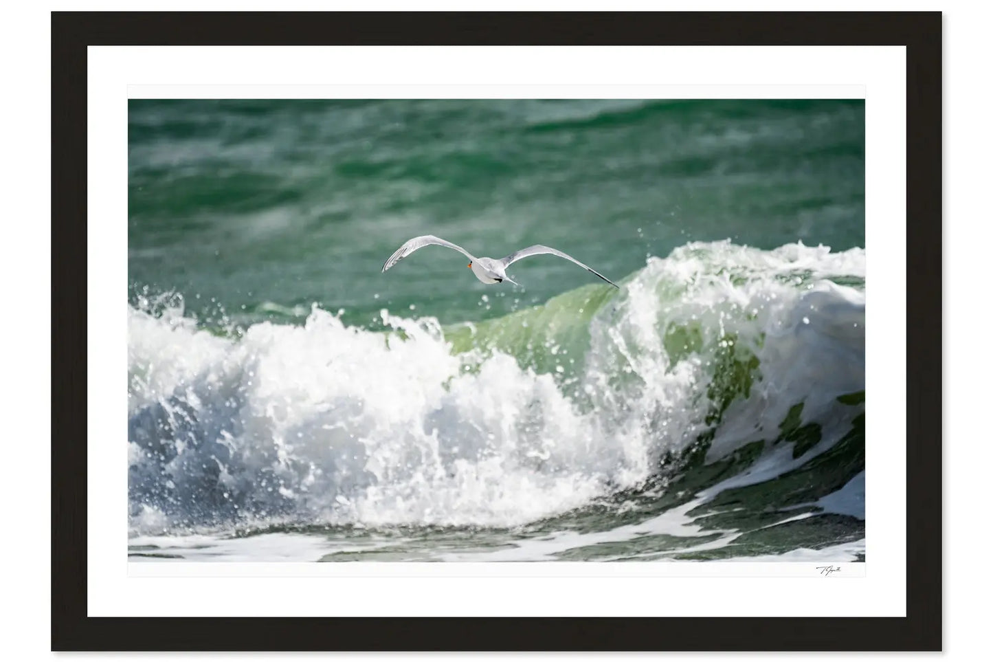 Wave Glider - Tommy Joyce