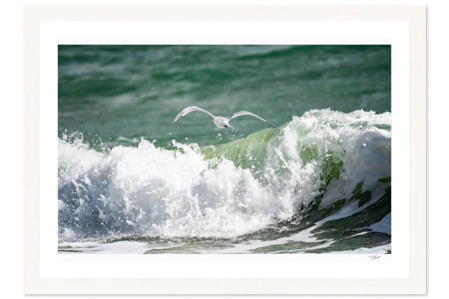 Wave Glider - Tommy Joyce