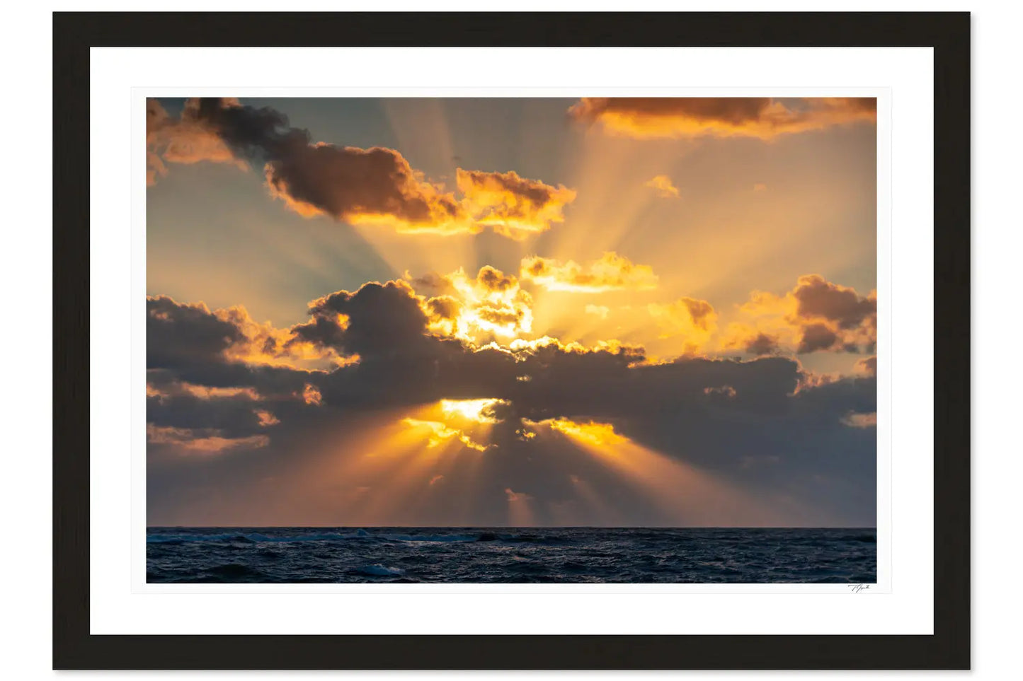 Ocean Rays - Tommy Joyce