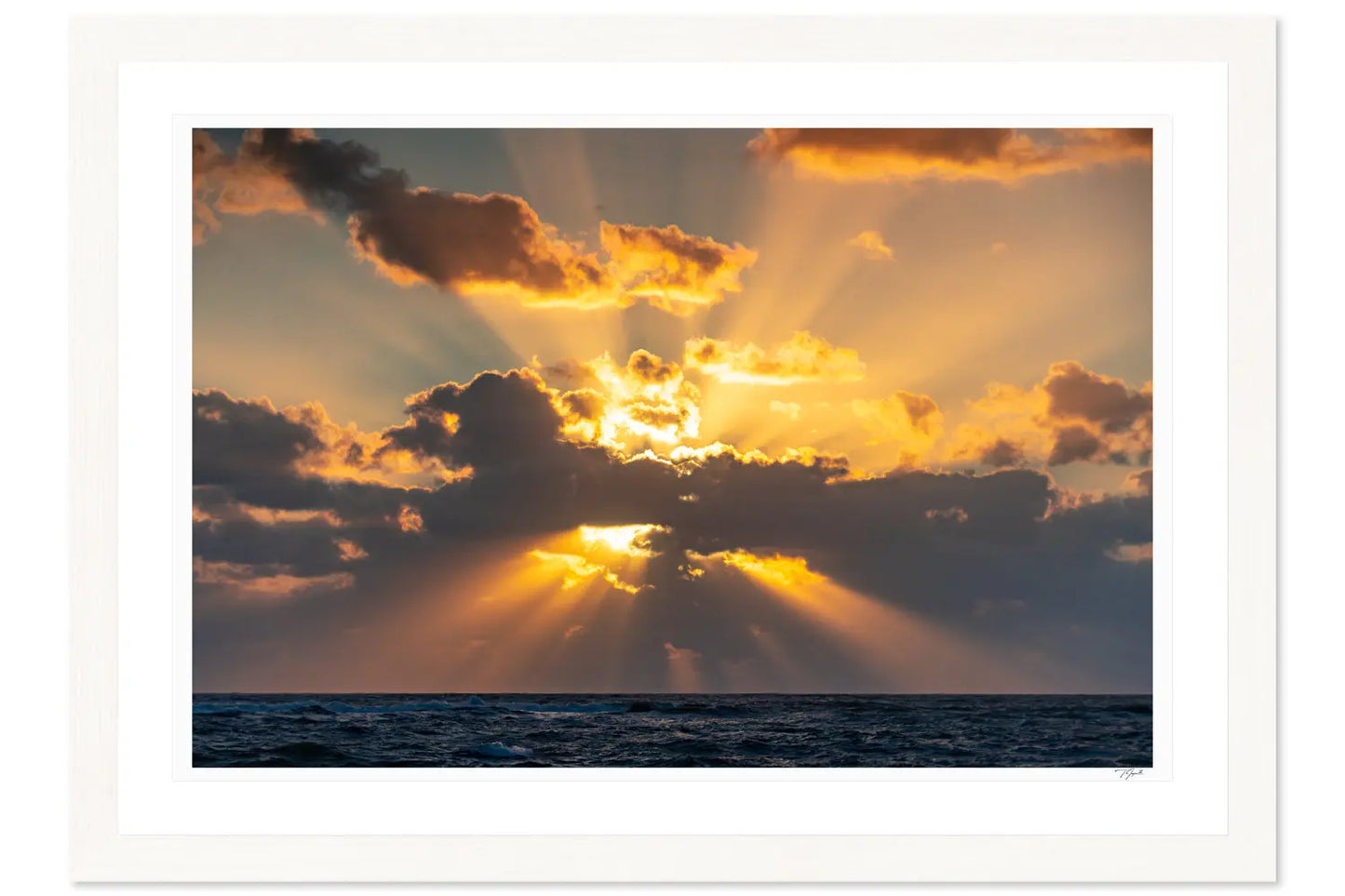 Ocean Rays - Tommy Joyce