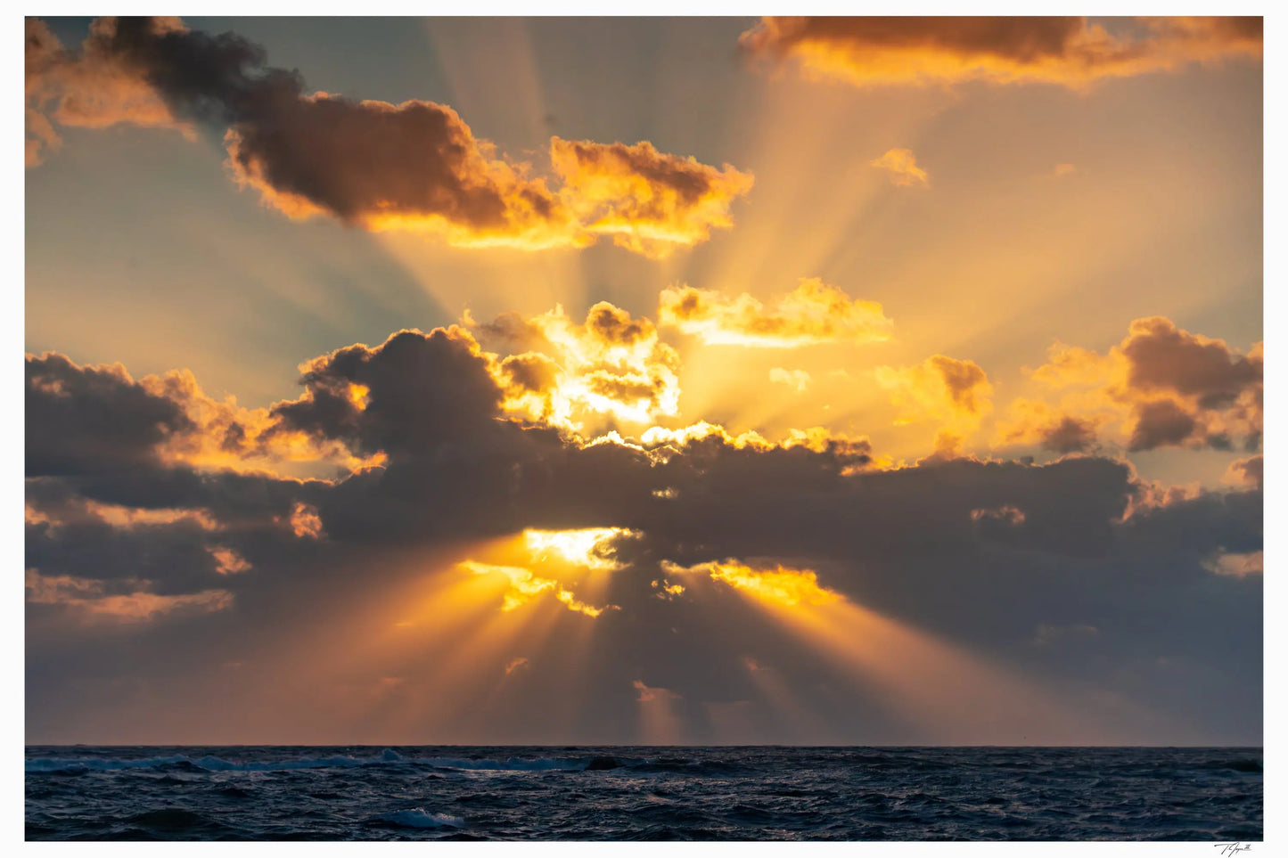 Ocean Rays - Tommy Joyce